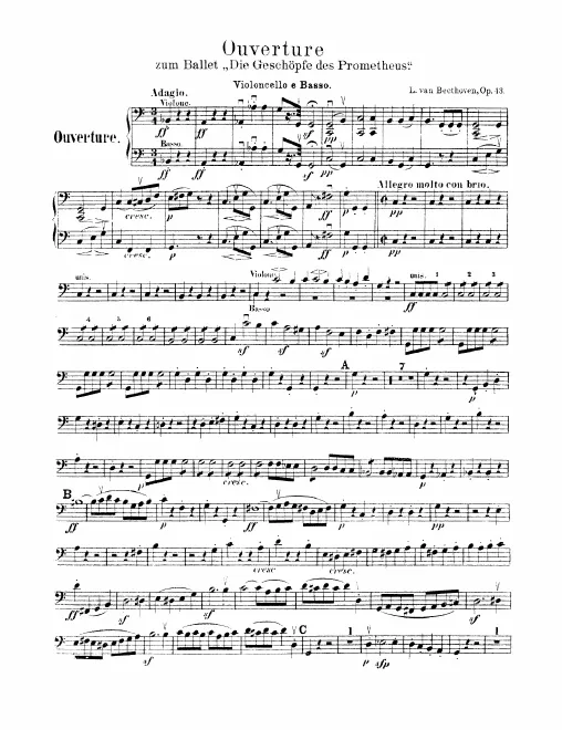 Cellos/Basses