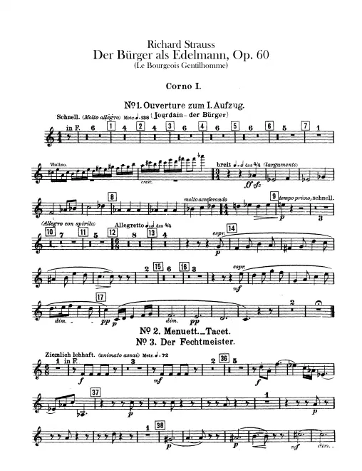 Horn 1 (F/D/E), 2 (F/C/D/E)