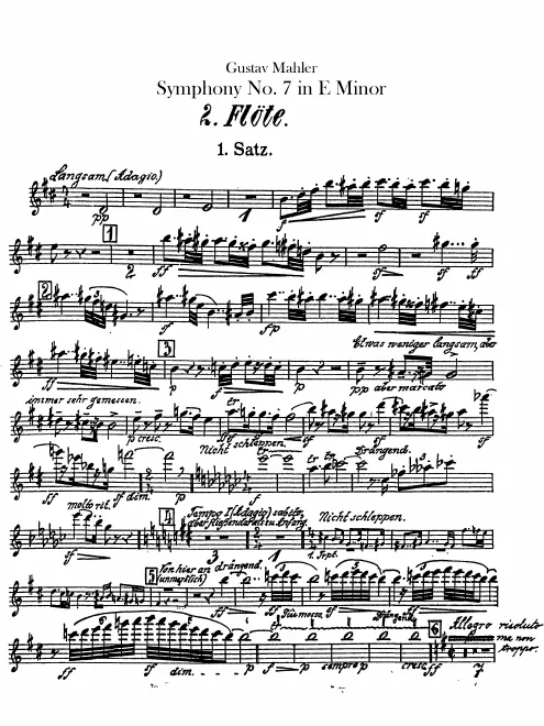 Flute 2