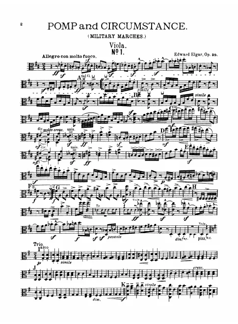 Violas