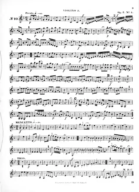 Violin 2