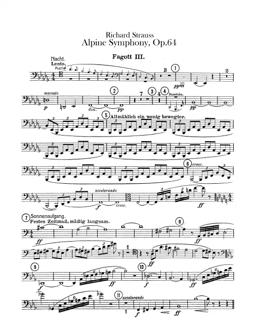 Bassoon 3