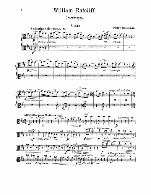 Violas