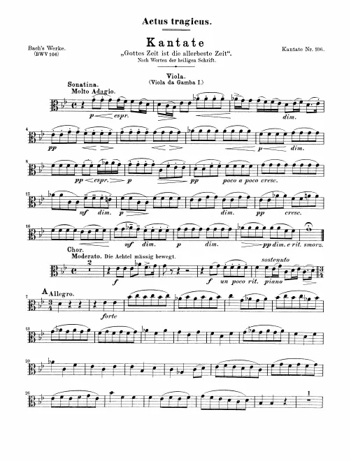 Viola da gamba 1 (Viola)