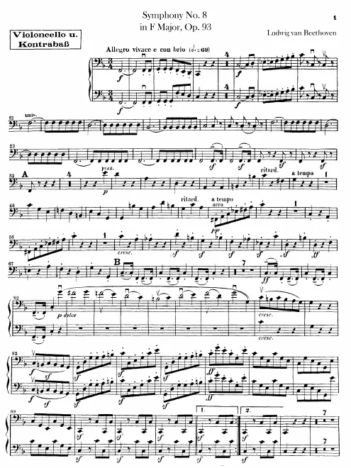 Cellos/Basses