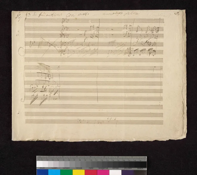 Nos. 5, 10 and 19