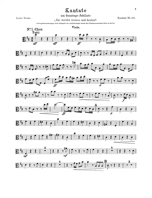 Violas