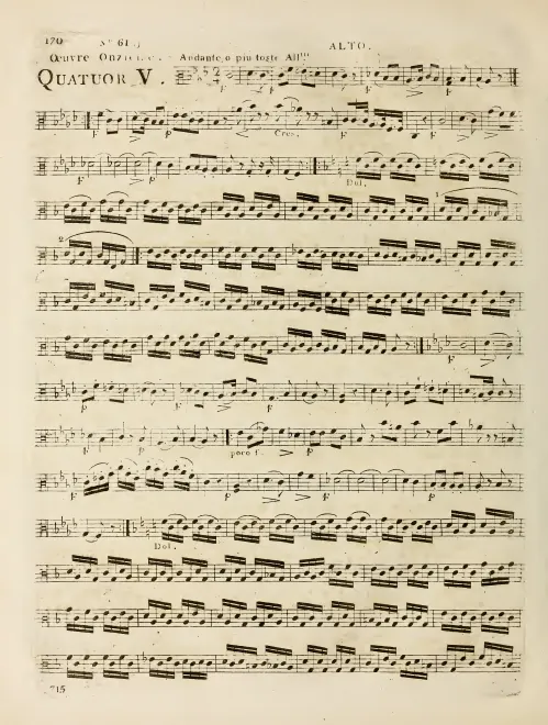Viola