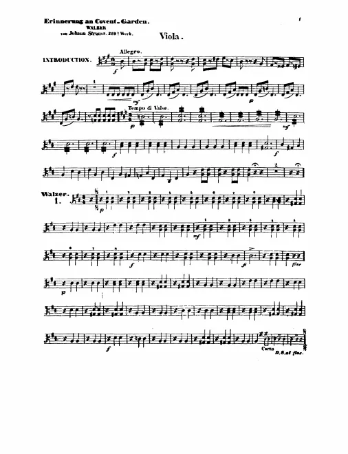 Violas