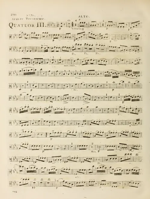 Viola
