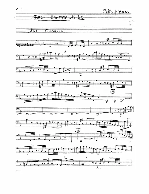 Cellos/Basses