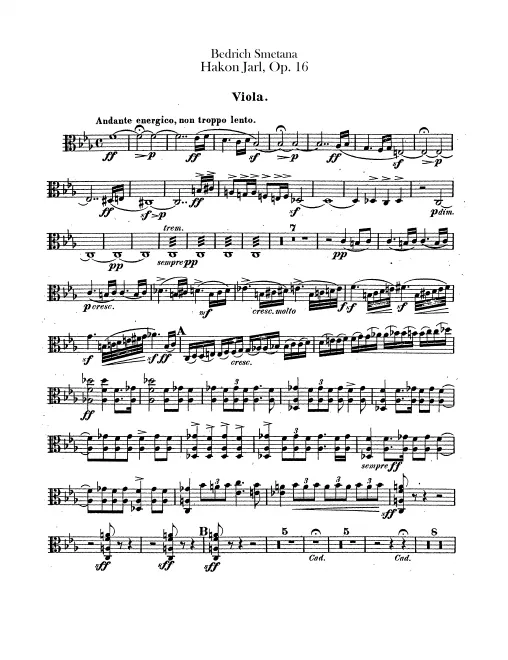 Violas