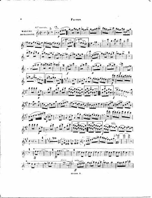 Flute 1/2, Piccolo