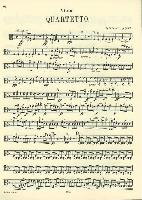Viola