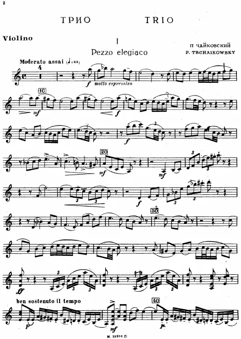 Violin