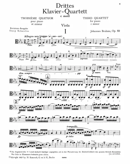 Viola