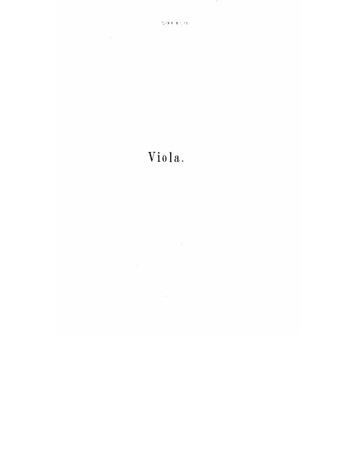 Viola