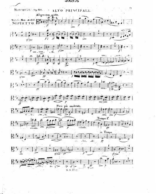 Viola 1