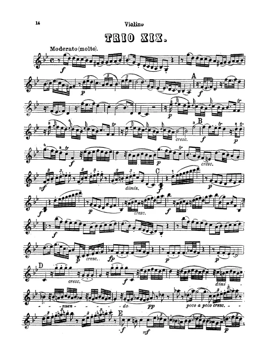 Violin