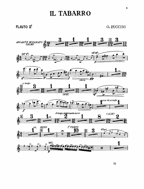 Flute 2