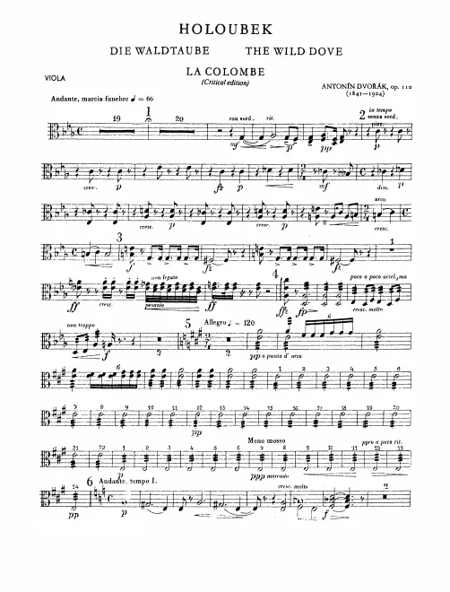 Violas