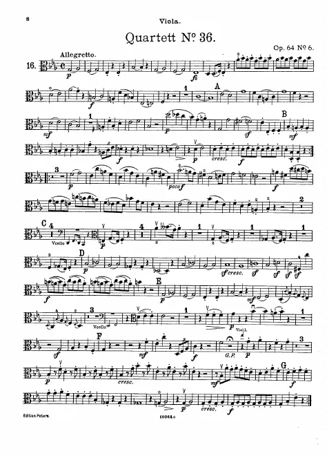 Viola