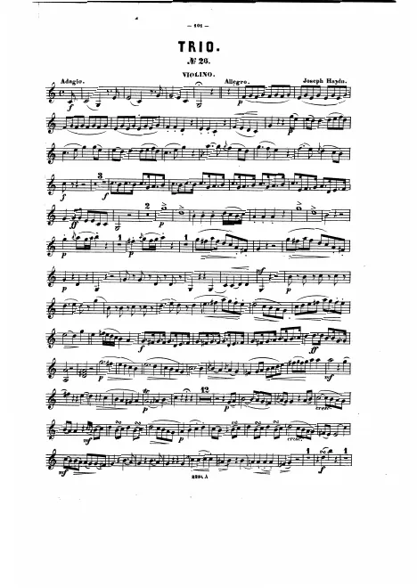 Violin