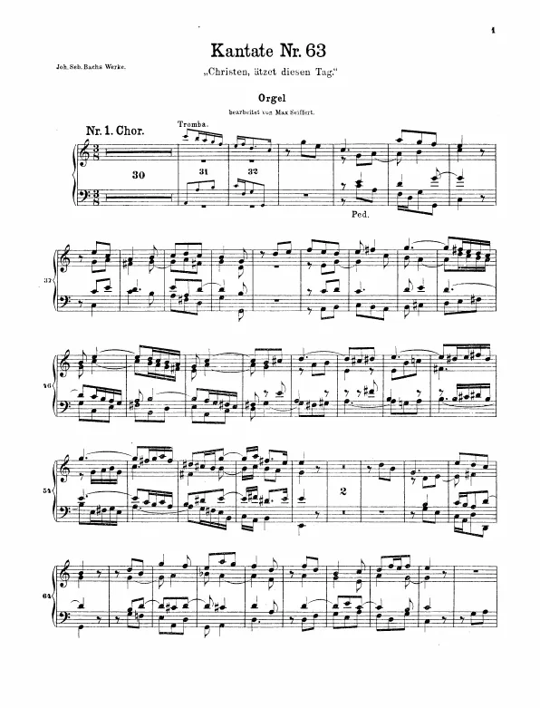 Organ