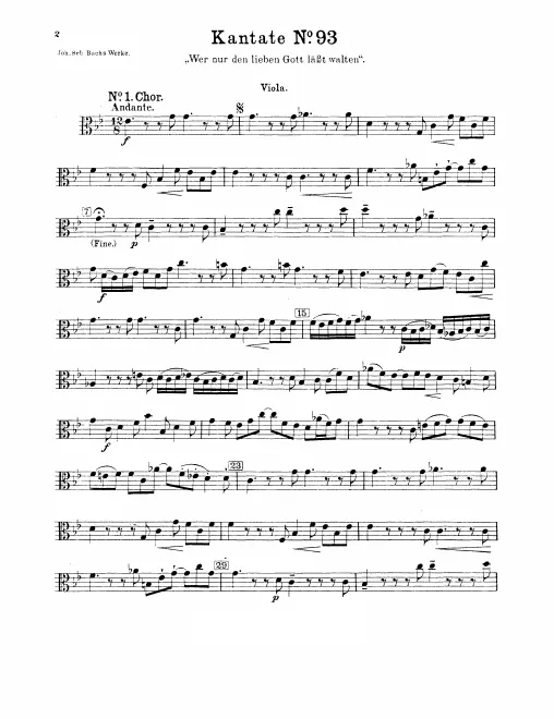 Violas