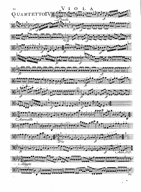 Viola