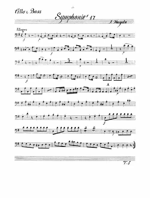 Cellos/Basses