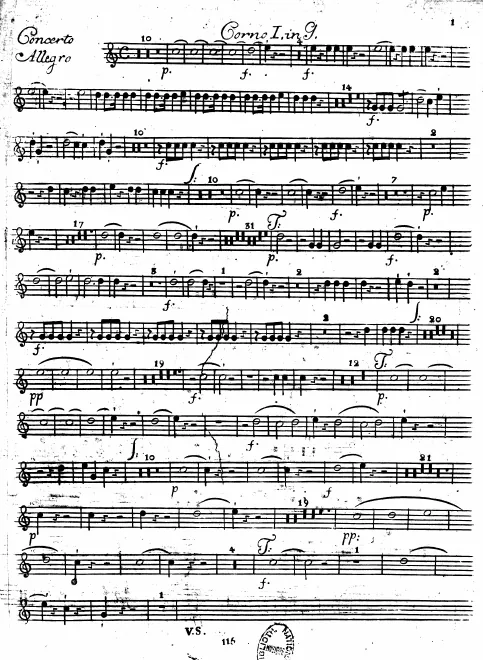 Horn 1