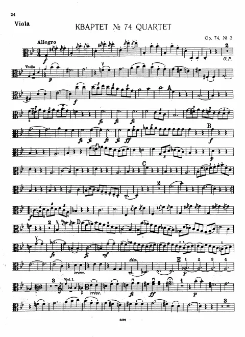 Viola