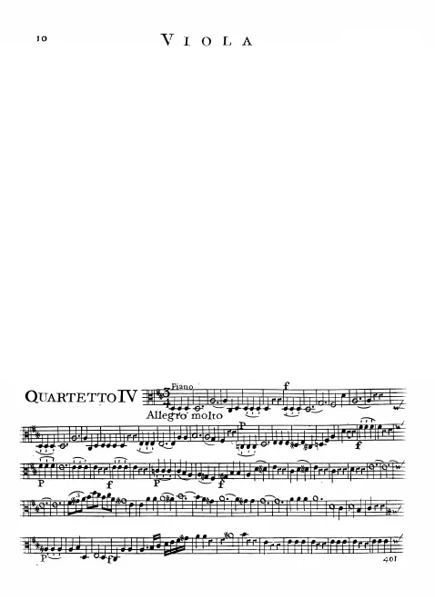 Viola