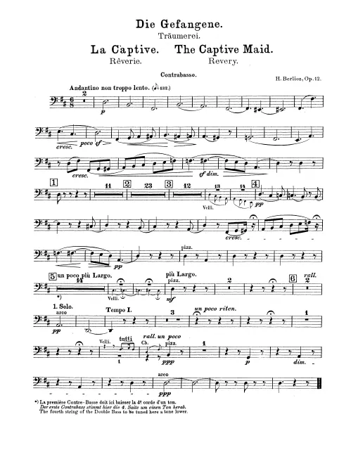 Basses