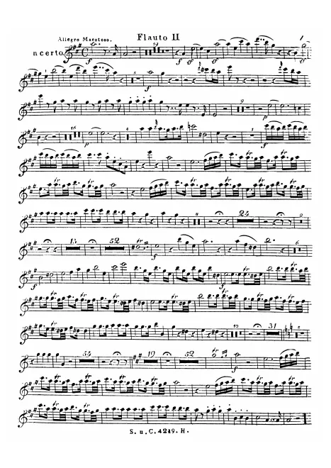 Flute 2