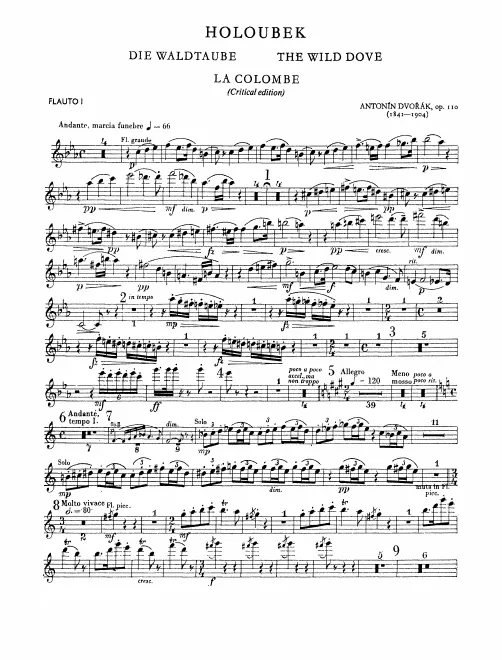 Flute 1/Piccolo, 2