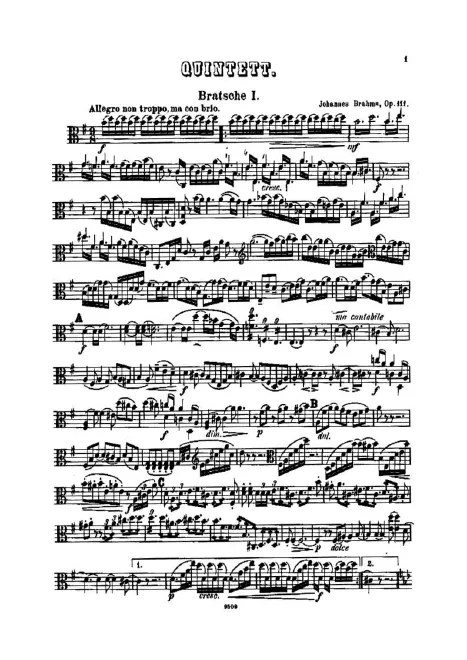 Viola 1