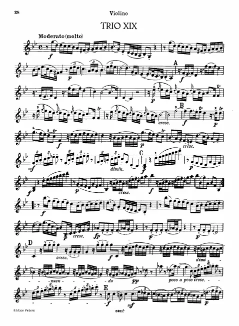Violin
