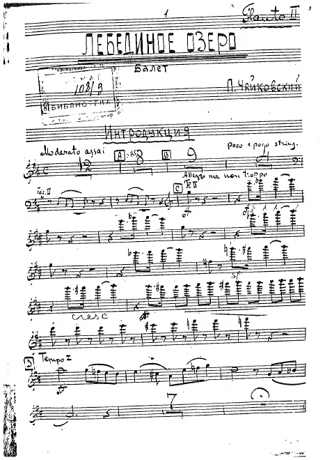 Flute 2