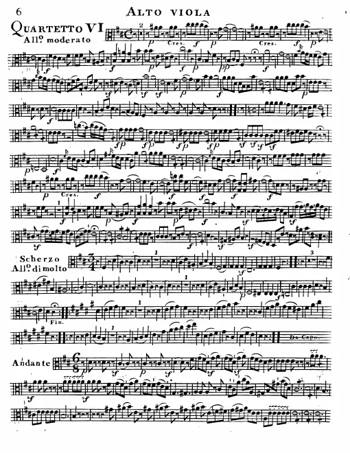 Viola