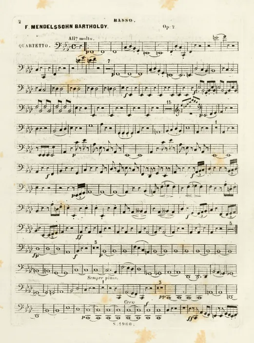 Cello