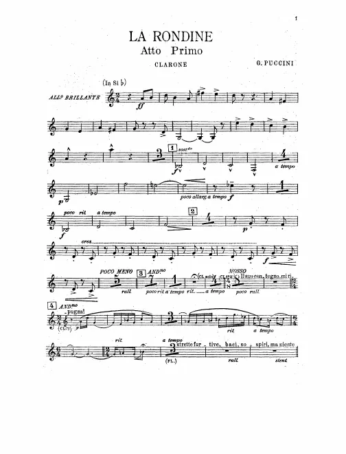 Bass Clarinet