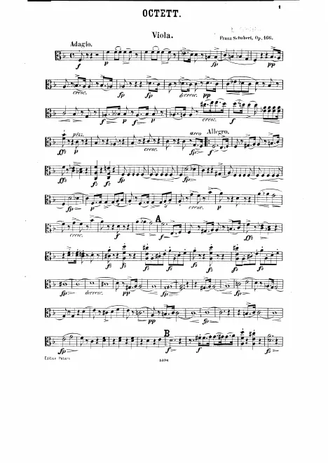 Viola
