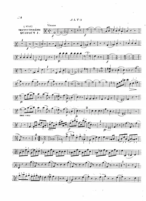 Viola