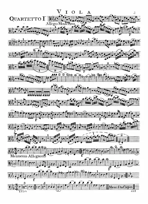 Viola