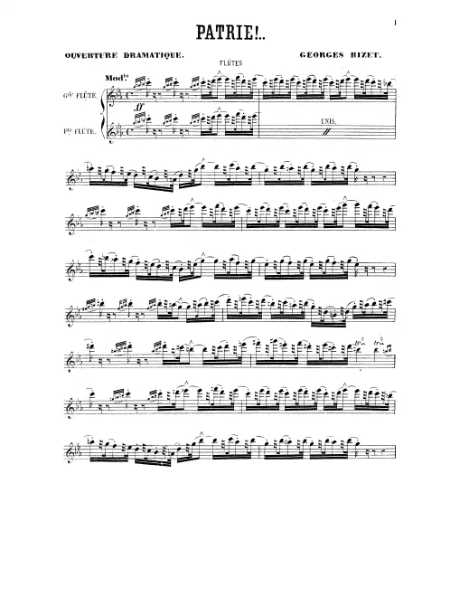 Flute 1/2/Piccolo
