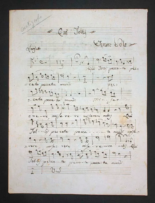 Tenor solo and Viola