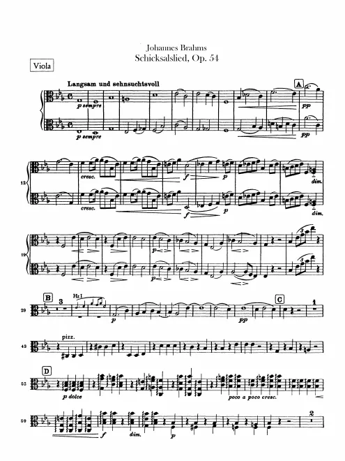 Violas
