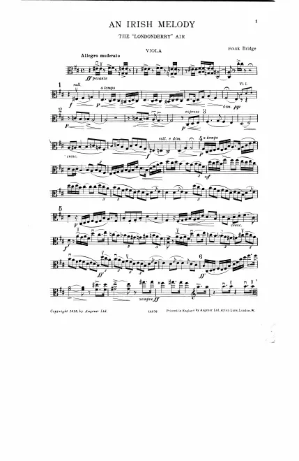 Viola